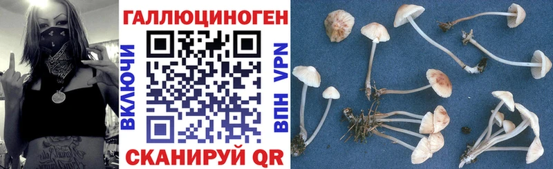 Псилоцибиновые грибы MAGIC MUSHROOMS  сколько стоит  Нижняя Салда 